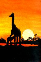 Giraffe Sunset