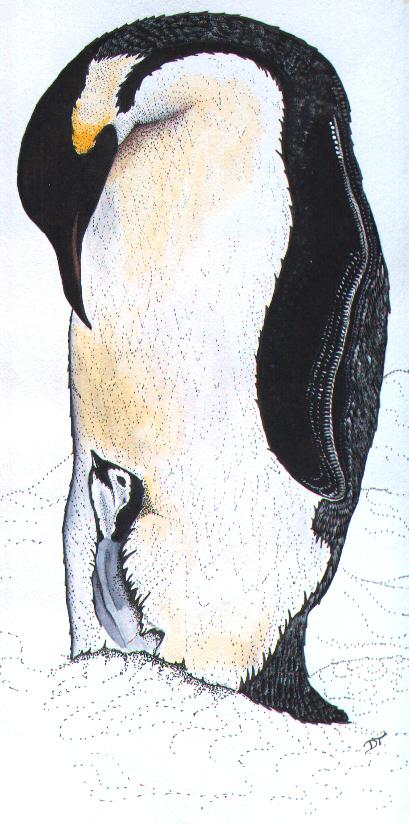 Penguin with young (68KB)