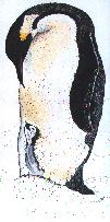 Penguin with young (7KB)