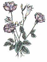 Roses and Freesias (8Kb)