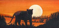 Tiger Sunset